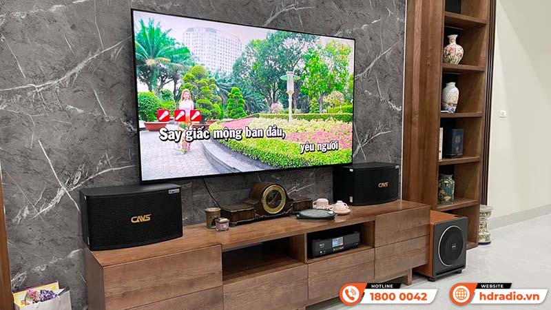 Điều quan trọng khi lựa chọn loa sub cho hệ thống karaoke