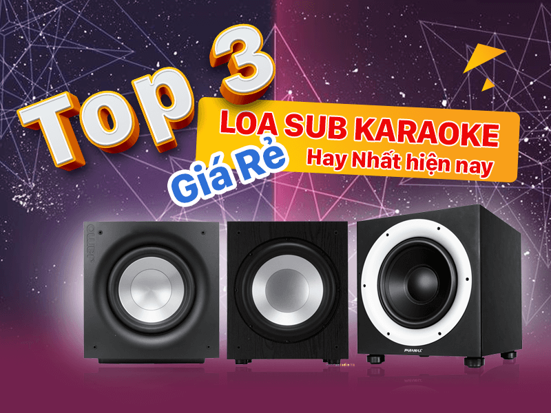 Top 3 mẫu Loa Sub Karaoke Giá Rẻ Hay Nhất hiện nay
