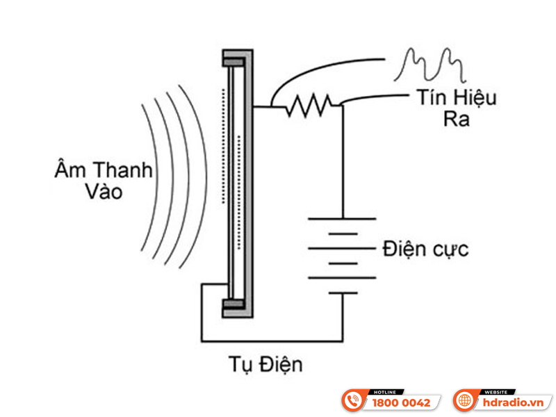 Micro condenser là gì và Nguyên lý hoạt động Micro condenser là gì và Nguyên lý hoạt động