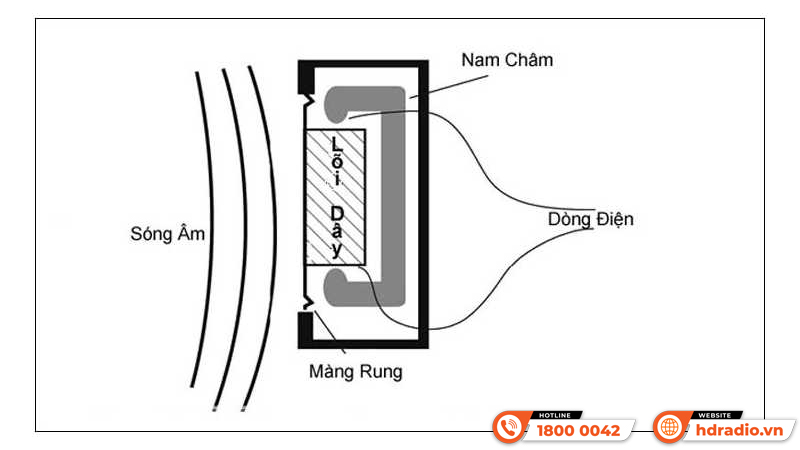 Micro điện động là gì?