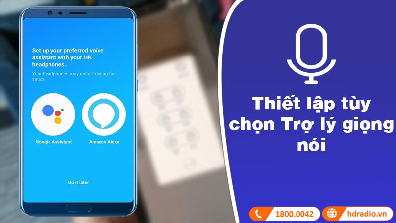 Thiết lập tùy chọn trợ lý giọng nói