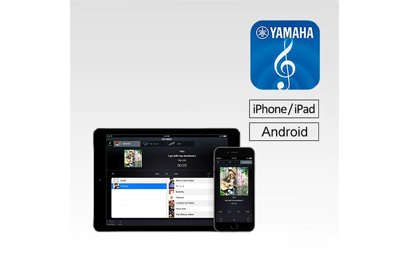 ứng dụng NETWORK PLAYER CONTROLLER