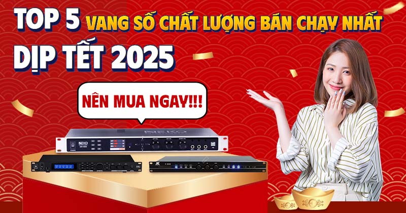 Top 5 Vang Số Chất Lượng Bán Chạy Nhất - Nên Mua Ngay Dịp Tết 2025