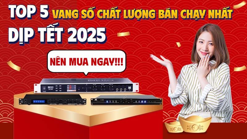 Top 5 Vang Số Chất Lượng Bán Chạy Nhất - Nên Mua ngay Dịp Tết 2025