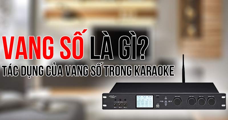 đầu vang số là gì