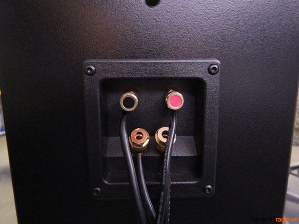 dây loa cũng phải được bổ sung thêm 1 cặp.