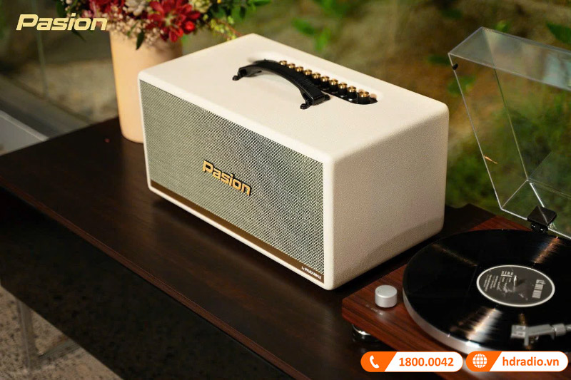 Loa Paramax Pasion 2