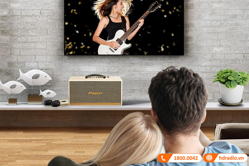 Loa Paramax Pasion 2