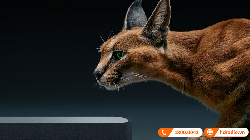 Loa Sennheiser Ambeo Soundbar Mini